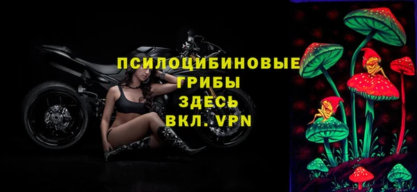 PSILOCYBIN Горно-Алтайск