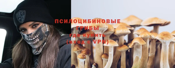 бутират Горнозаводск