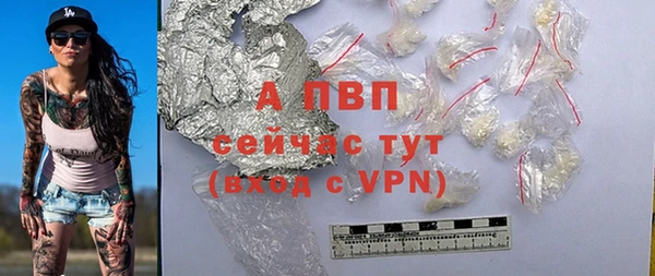 гидропоника Пересвет